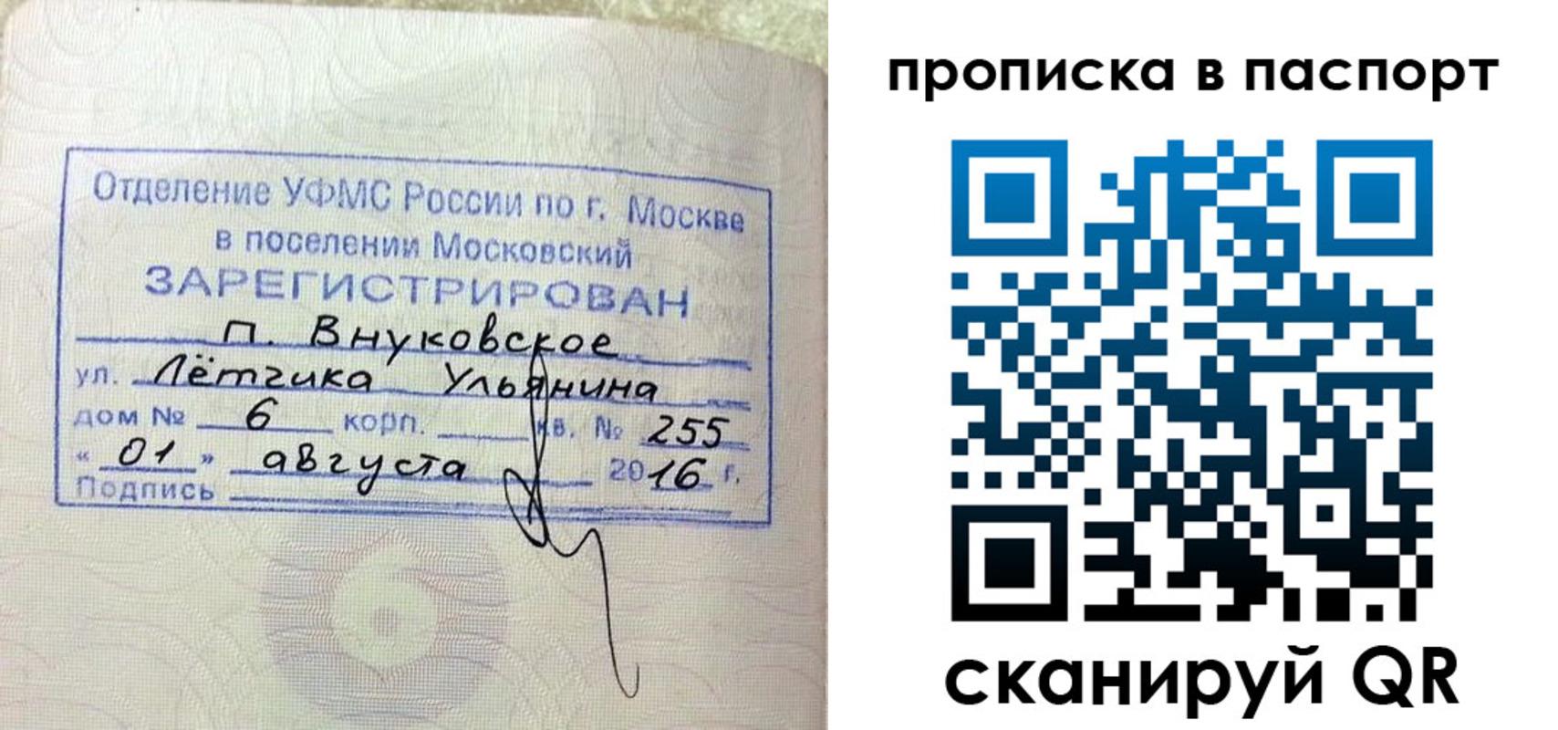 временная прописка в Камешково